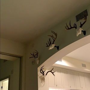 Meet your Posher, Stephen